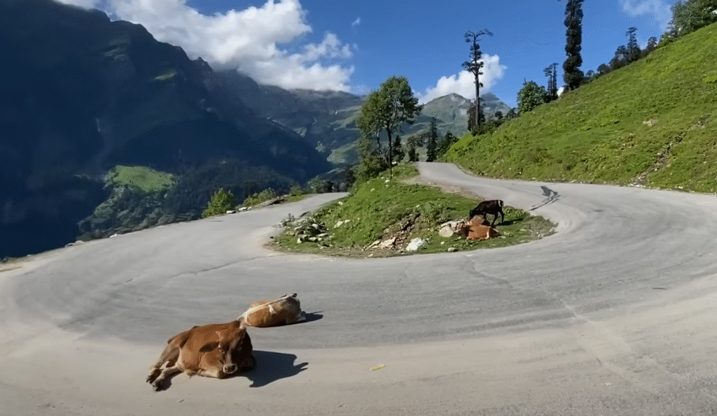 Rohtang Pass