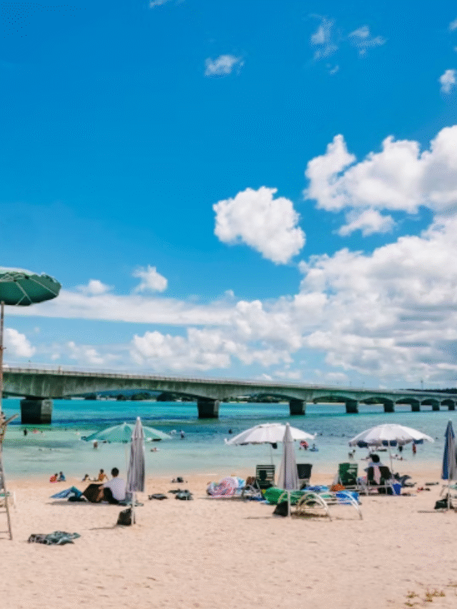 Top 6 Places To Visit In Japan